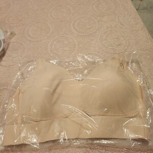 Pink Rhonda Shear XL Bra